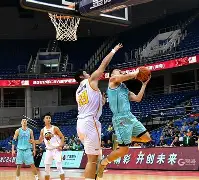 雷竞技网页版 -CBA季后赛转会期走向成谜，山东泰山回应争议，态度坚定，纪律约束更严格的简单介绍