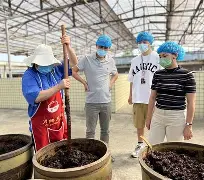 雷竞技网址 -そぅです传闻接续